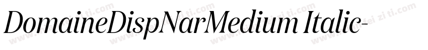 DomaineDispNarMedium Italic字体转换